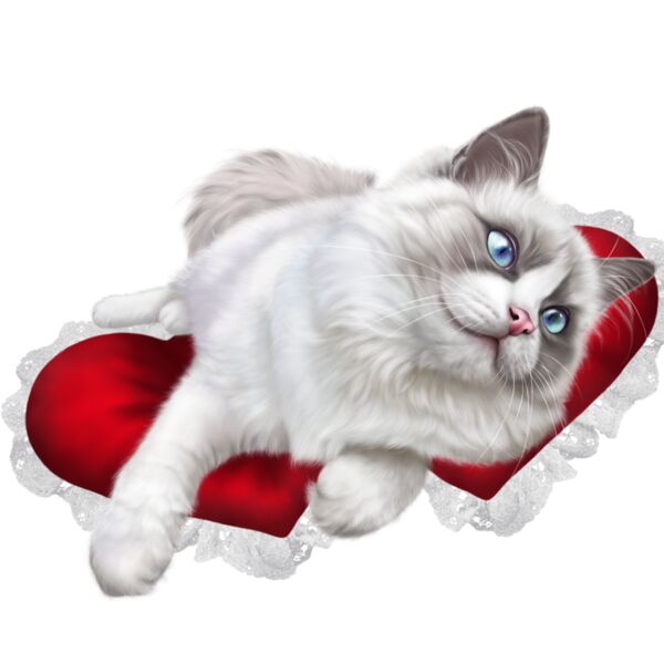 Valentines Cat Thumbnail