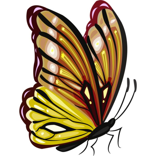 Yellow Butterfly Side Thumbnail