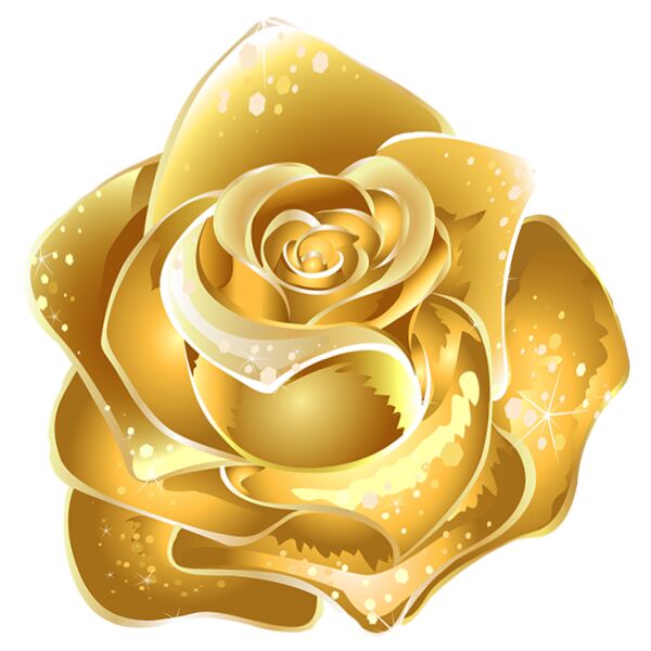 gold rose Thumbnail