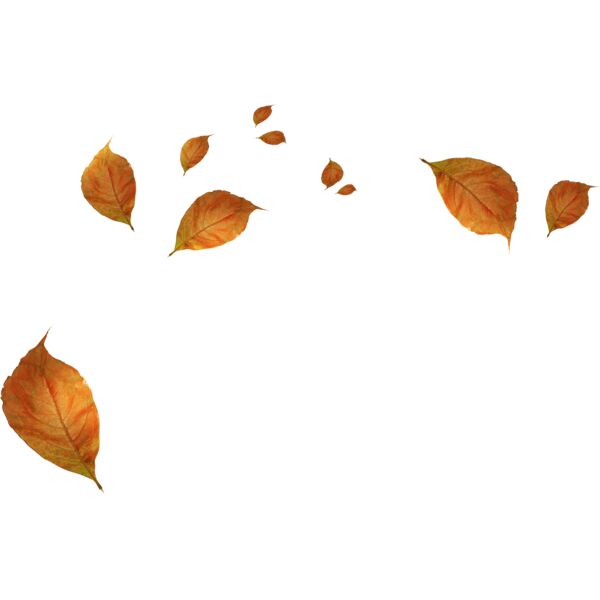 Autumn Leaves 3 Thumbnail